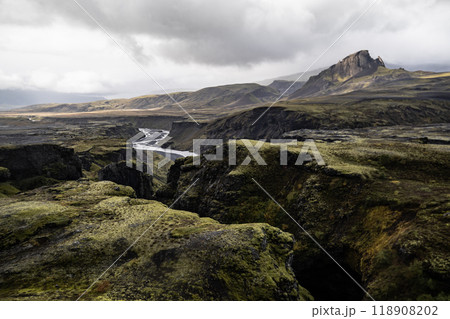 秋のロイガヴェーグル 118908202