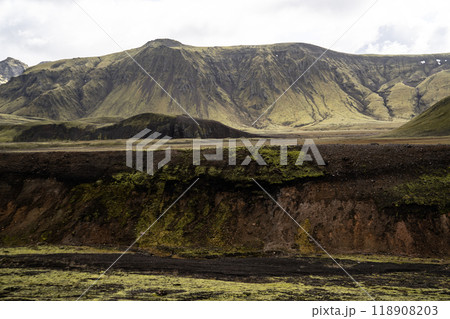 秋のロイガヴェーグル 118908203