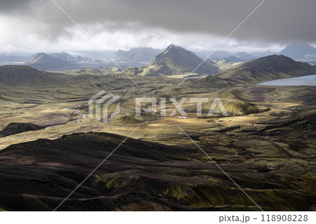 秋のロイガヴェーグル 118908228