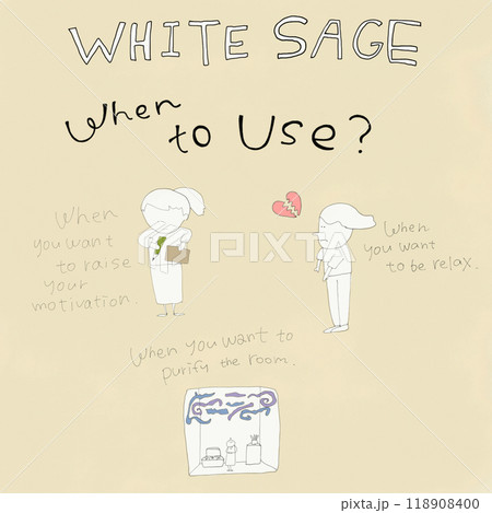 WHITE SAGE セージの効果 心のケア イラスト WHITE SAGE セージの効果 心のケア イラスト 118908400