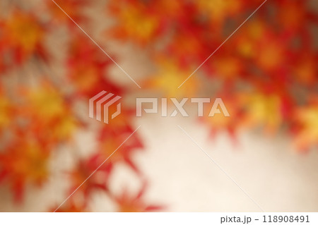 紅葉イメージの背景素材 紅葉イメージの背景素材 118908491