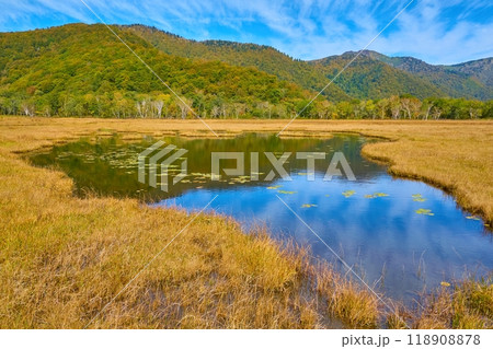 秋の尾瀬 上田代の牛首分岐付近から北側の八海山(背中アブリ山)、景鶴山方面 118908878
