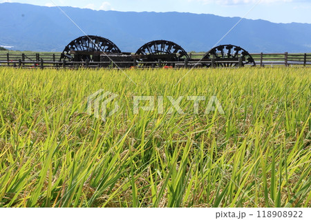 福岡県朝倉市の三連水車 福岡県朝倉市の三連水車 118908922
