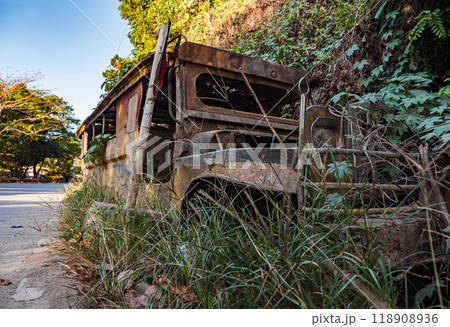 An abandoned jeepney covered in vegetation along a quiet road in the countryside 118908936
