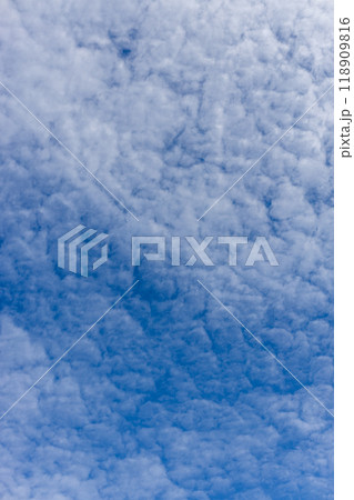 秋の青空と白い雲 118909816