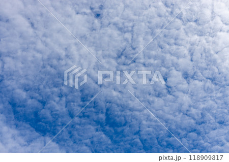 秋の青空と白い雲 118909817