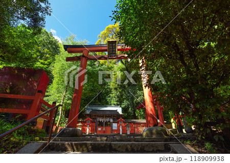 京都嵐山　櫟谷宗像神社入口 118909938