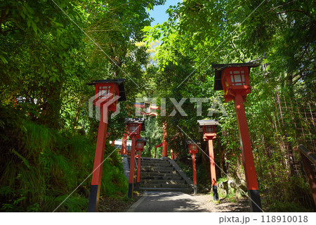 京都嵐山 櫟谷宗像神社参道 京都嵐山 櫟谷宗像神社参道 118910018