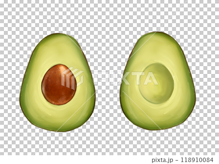 Avocado on white background. Design element 118910084