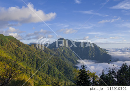 雲海に浮かぶ常念岳 118910591