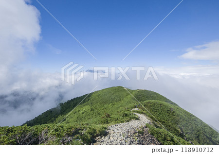 空に浮かぶ登山道 118910712