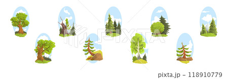 Summer Tree Nature Landscape with Green Forest Vector Set 118910779