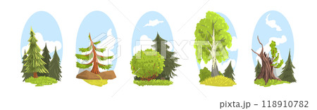 Summer Tree Nature Landscape with Green Forest Vector Set Summer Tree Nature Landscape with Green Forest Vector Set 118910782