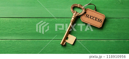 Golden key to success resting on green rustic wooden background 118910956