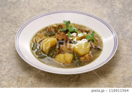 ニューメキシコグリーンチリシチュー ニューメキシコグリーンチリシチュー 118911564