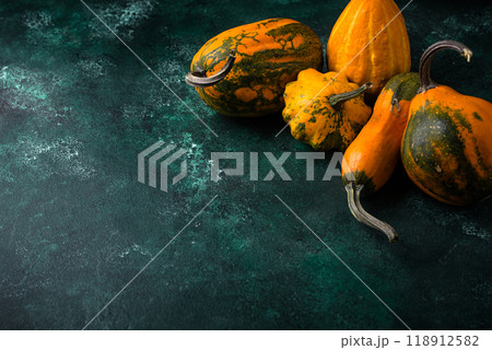 Various decorative pumpkin on green background Various decorative pumpkin on green background 118912582