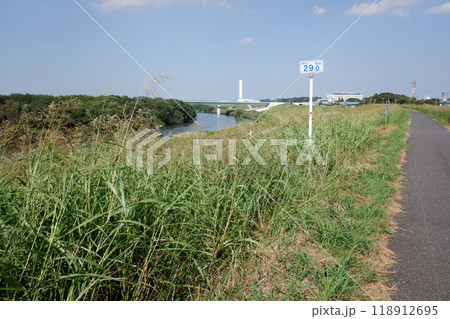 千葉県流山市 江戸川と堤防 海から29㎞地点 千葉県流山市 江戸川と堤防 海から29㎞地点 118912695