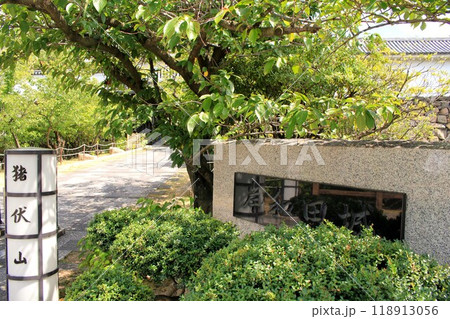 岸和田城 118913056