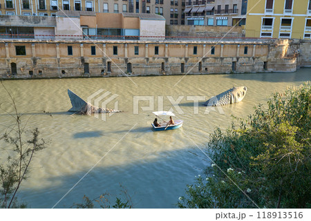 A sculpture of a fish in the Segura river, Murcia. A sculpture of a fish in the Segura river, Murcia. 118913516