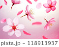 ピンクの花と花びらの舞う背景 118913937