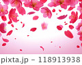 ピンクの花と花びらの舞う背景 118913938
