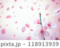 ピンクの花と花びらの舞う背景 118913939