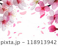 ピンクの花と花びらの舞う背景 118913942