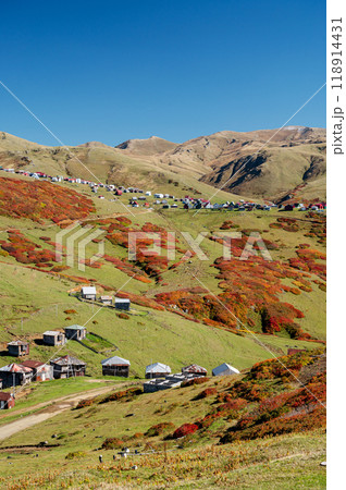 Beautiful autumn mountain landscape with colorful trees, snow  peaks and houses. 118914431
