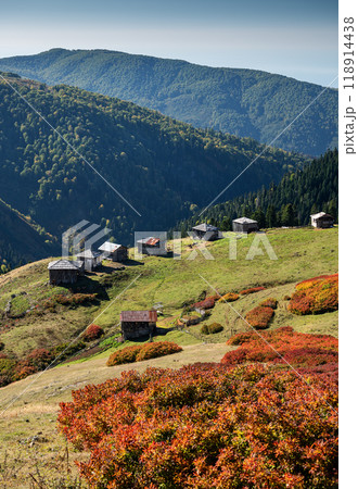 Beautiful autumn mountain landscape with colorful trees and old houses.  118914438
