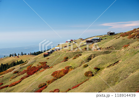 Beautiful autumn mountain landscape with colorful trees and old houses. 118914439
