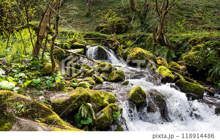 Waterfall cascade in tropical forest with stones and moss on summer sunny day. Waterfall cascade in tropical forest with stones and moss on summer sunny day. 118914486