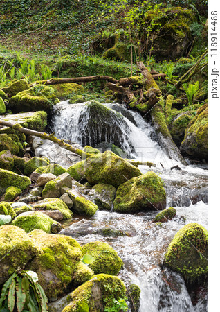 Waterfall cascade in tropical forest with stones and moss on summer sunny day. Adjara, Georgia Waterfall cascade in tropical forest with stones and moss on summer sunny day. Adjara, Georgia 118914488