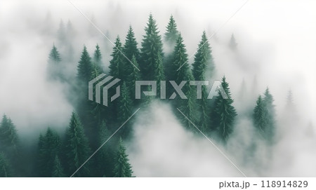 Fog in nature, mystical phenomenon of nature 118914829