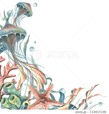 Seahorse, jellyfish, seashell, coral, starfish, sea sponge, algae, pebbles and bubbles. Hand drawn watercolor illustration of sea animals and the underwater. Template, frame square for the text. Seahorse, jellyfish, seashell, coral, starfish, sea sponge, algae, pebbles and bubbles. Hand drawn watercolor illustration of sea animals and the underwater. Template, frame square for the text. 118915106