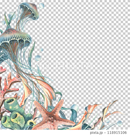 Seahorse, jellyfish, seashell, coral, starfish, sea sponge, algae, pebbles and bubbles. Hand drawn watercolor illustration of sea animals and the underwater. Template, frame square for the text. Seahorse, jellyfish, seashell, coral, starfish, sea sponge, algae, pebbles and bubbles. Hand drawn watercolor illustration of sea animals and the underwater. Template, frame square for the text. 118915106