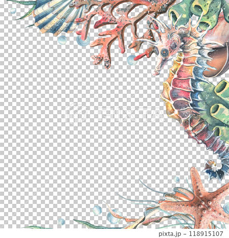 Seahorse, jellyfish, seashell, coral, starfish, sea sponge, algae, pebbles and bubbles. Hand drawn watercolor illustration of sea animals and the underwater. Template, frame square for the text. 118915107