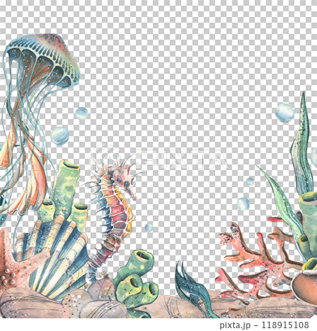 Seahorse, jellyfish, seashell, coral, starfish, sea sponge, algae, pebbles and bubbles. Hand drawn watercolor illustration of sea animals and the underwater. Template, frame square for the text. 118915108