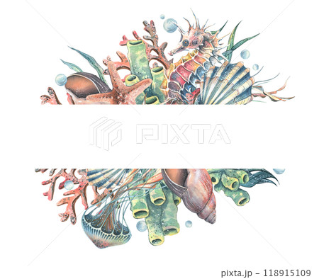 Seahorse, jellyfish, seashell, coral, starfish, sea sponge, algae, pebbles and bubbles. Hand drawn watercolor illustration of sea animals and the underwater. Template, frame rectangular, horizontal Seahorse, jellyfish, seashell, coral, starfish, sea sponge, algae, pebbles and bubbles. Hand drawn watercolor illustration of sea animals and the underwater. Template, frame rectangular, horizontal 118915109