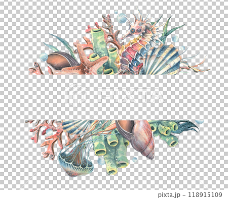 Seahorse, jellyfish, seashell, coral, starfish, sea sponge, algae, pebbles and bubbles. Hand drawn watercolor illustration of sea animals and the underwater. Template, frame rectangular, horizontal Seahorse, jellyfish, seashell, coral, starfish, sea sponge, algae, pebbles and bubbles. Hand drawn watercolor illustration of sea animals and the underwater. Template, frame rectangular, horizontal 118915109