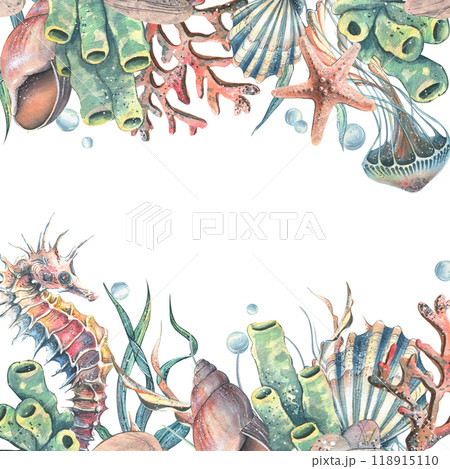 Seahorse, jellyfish, seashell, coral, starfish, sea sponge, algae, pebbles and bubbles. Hand drawn watercolor illustration of sea animals and the underwater. Template, frame square for the text. 118915110