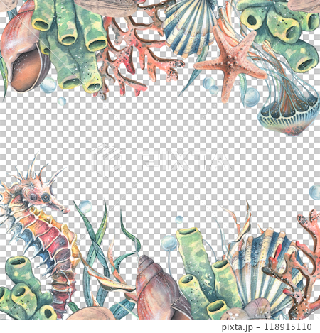 Seahorse, jellyfish, seashell, coral, starfish, sea sponge, algae, pebbles and bubbles. Hand drawn watercolor illustration of sea animals and the underwater. Template, frame square for the text. 118915110