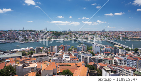 View from the roof of the Bosphorus Strait, the bridge and the mosque.  118915347