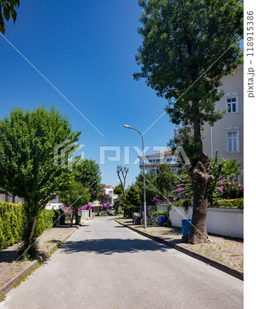 View to the street with old houses and gardens with flowers on Adalar Island on a sunny summer day 118915386