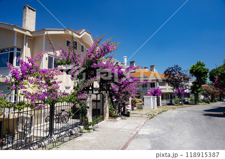 Beautiful street with old houses and gardens with flowers on Adalar Island on a sunny summer day, 118915387