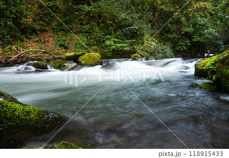 Beautiful landscape of a mountain river in tropical forest with stones and moss on summer sunny day. 118915433