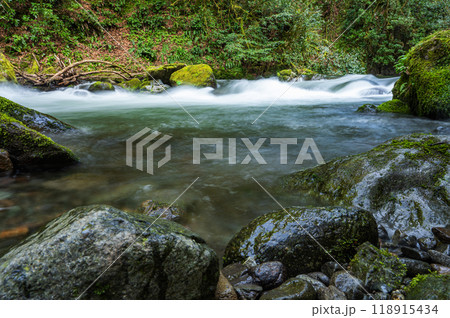 Beautiful landscape of a mountain river  in tropical forest with stones and moss on summer sunny day 118915434