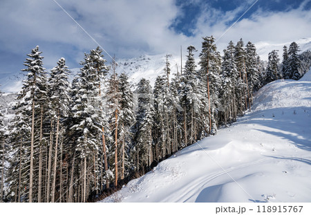Beautiful landscape of the Arkhyz ski resort with mountains, snow and forest on a sunny winter day 118915767