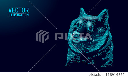 Low poly funny dog face. Shiba Inu dog crypto coin concept. Doge meme character cool portrait. Polygonal vector illustration 118916222
