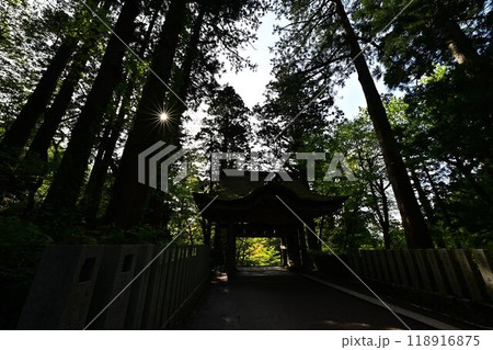 新緑の大神山神社 新緑の大神山神社 118916875