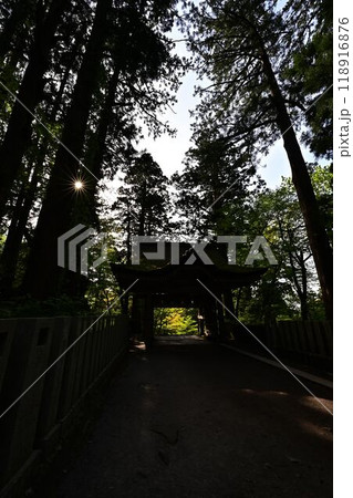 新緑の大神山神社 118916876